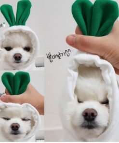 Cute Small Dogs Hoodies