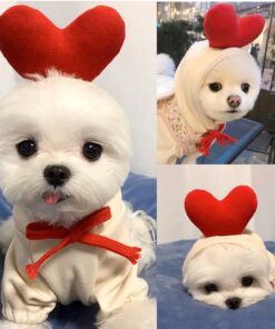 Cute Small Dogs Hoodies