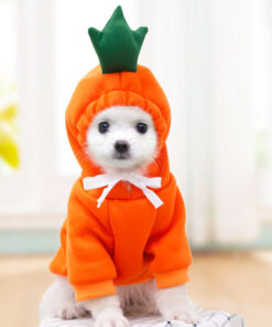 Cute Small Dogs Hoodies