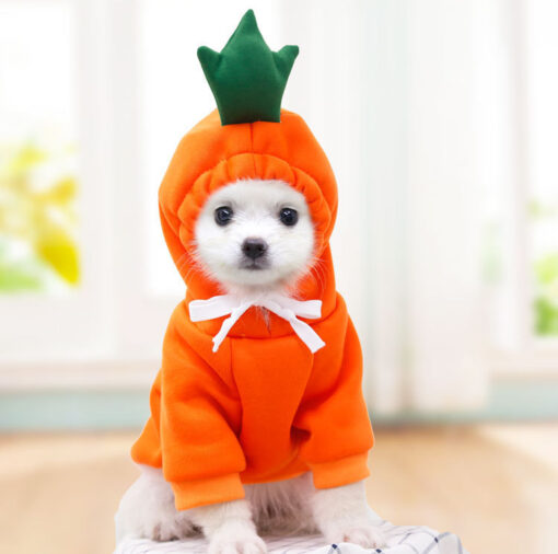 Cute Small Dogs Hoodies