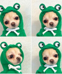Cute Small Dogs Hoodies