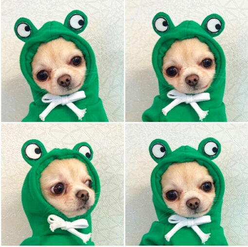 Cute Small Dogs Hoodies