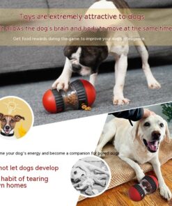Interactive Food Dispensing Dog Toy