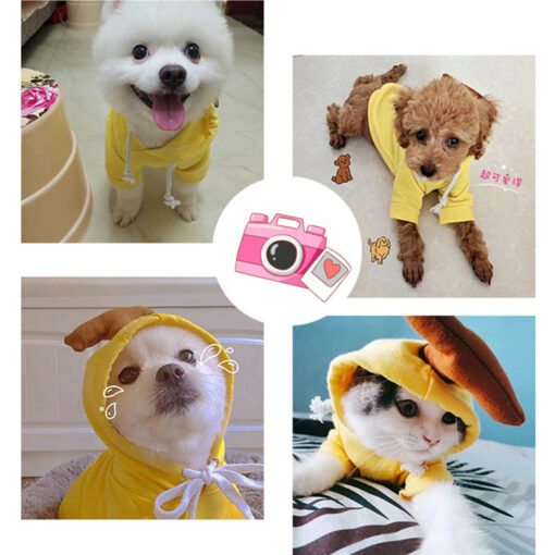 Cute Small Dogs Hoodies