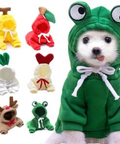 Cute Small Dogs Hoodies