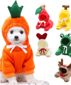Cute Small Dogs Hoodies